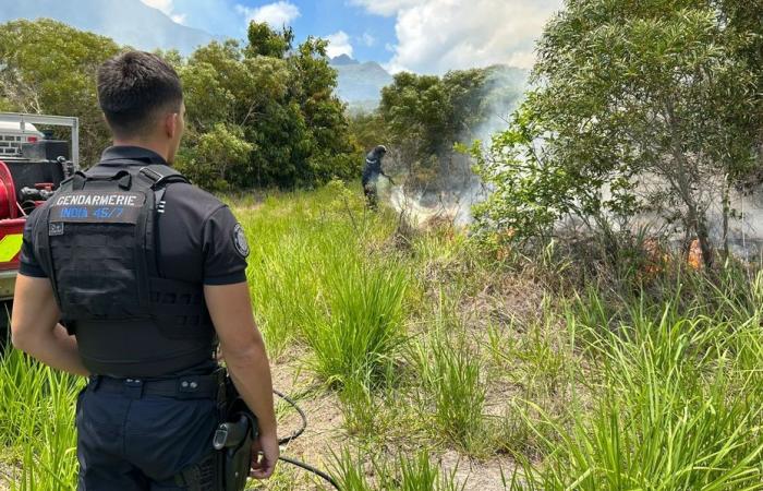 quatre hectares brûlés à Kataviti, deux entreprises menacées par les flammes