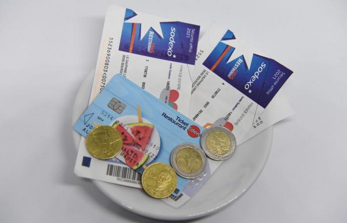 « l’utilisation principale de ma carte de ticket repas était le shopping »