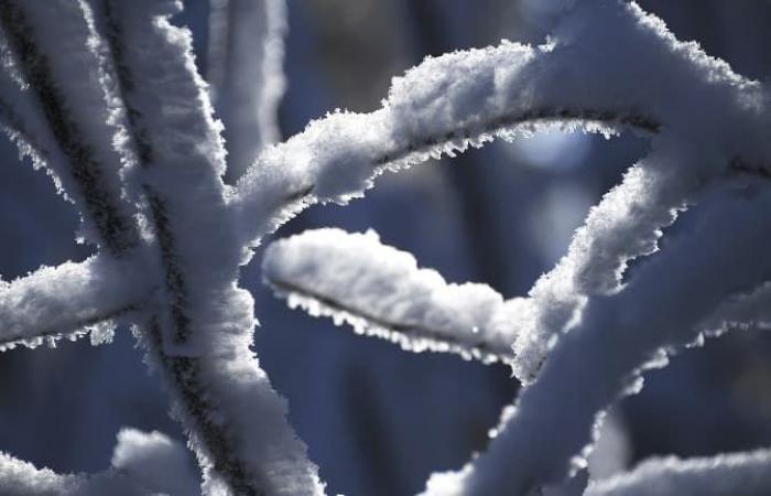 Des flocons de neige attendus ce jeudi dans le Haut-Rhin