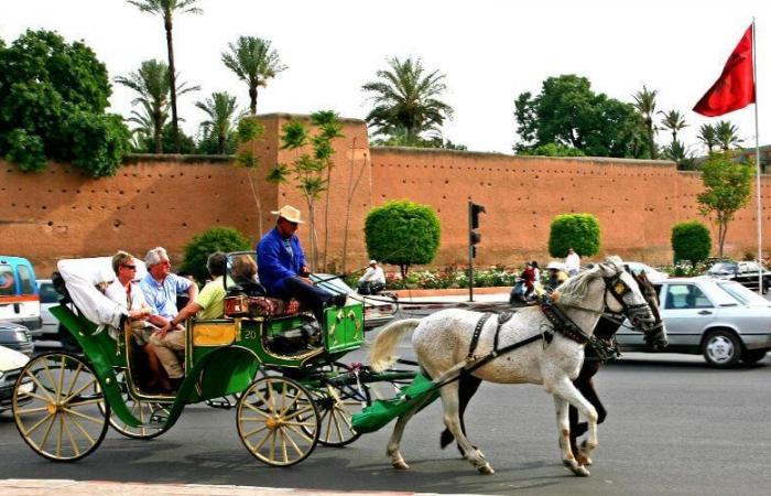 La place Jamaa El-Fna expulse les voitures