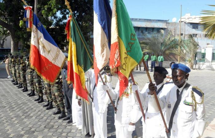 Au Sénégal, un ministre limogé pour avoir qualifié les tirailleurs de « traîtres »