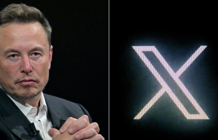 Elon Musk change d’identité sur X en adoptant les codes internet d’extrême droite