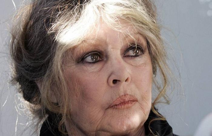 Brigitte Bardot dénonce un « massacre » de chamois dans le Doubs