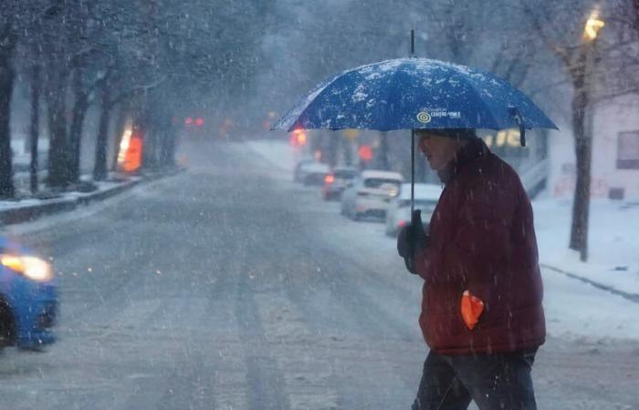 avertissements d’onde de tempête au Québec et au Saguenay