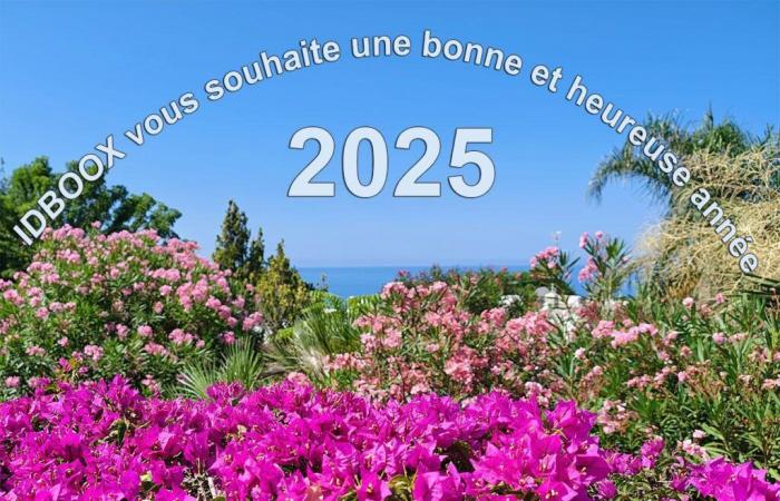 Bonne année 2025 de la part d’IDBOOX.com !