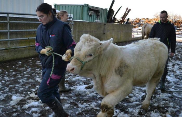 Les Jeunes Agriculteurs organisent leur forum d’installation les 14 janvier et 20 mars 2025