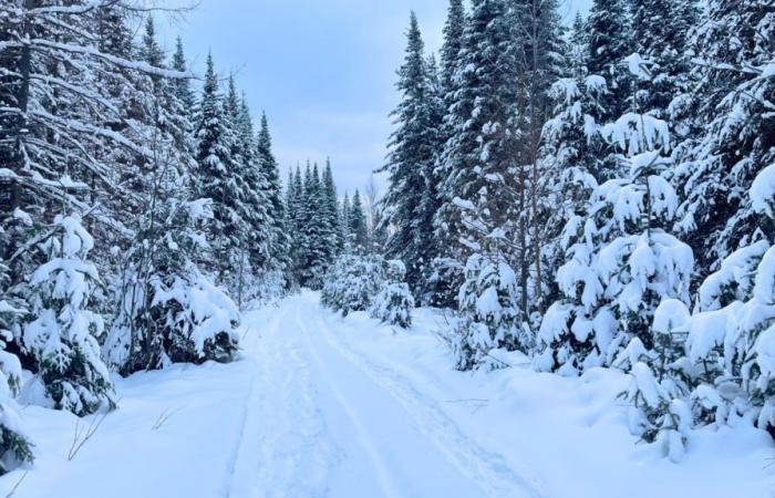 Neige et conditions difficiles attendues pour le passage à 2025