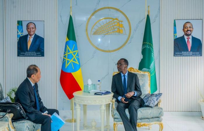 Ethiopie/Japon : Addis-Abeba appelle à renforcer la coopération économique