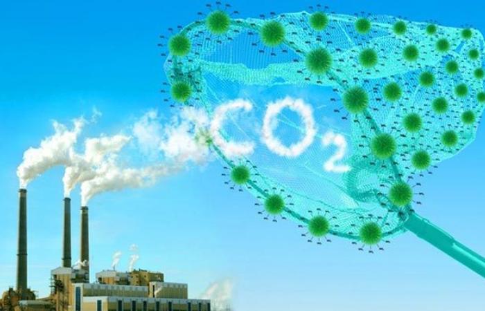 Les émissions mondiales de CO2 augmentent de 0,8 % en 2024, un obstacle à l’objectif climatique de 1,5°C