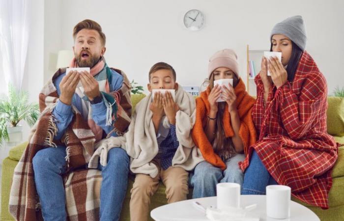 L’épidémie de grippe s’est intensifiée en France en fin d’année