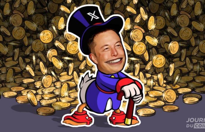 66 $ transformés en 3 millions de dollars grâce à Elon Musk