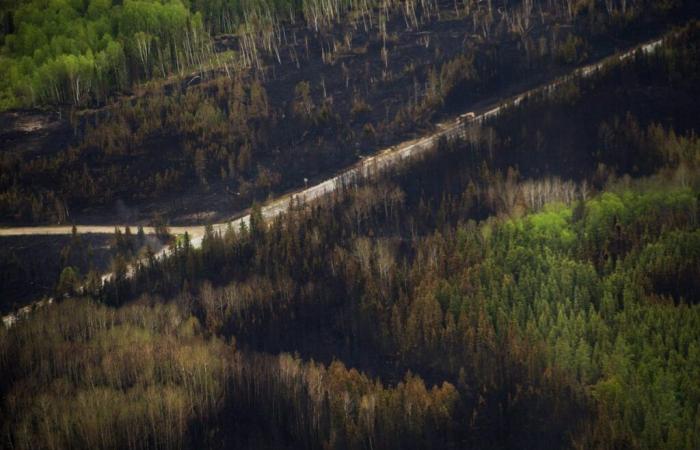 Le climat canadien est de plus en plus propice aux graves incendies de forêt