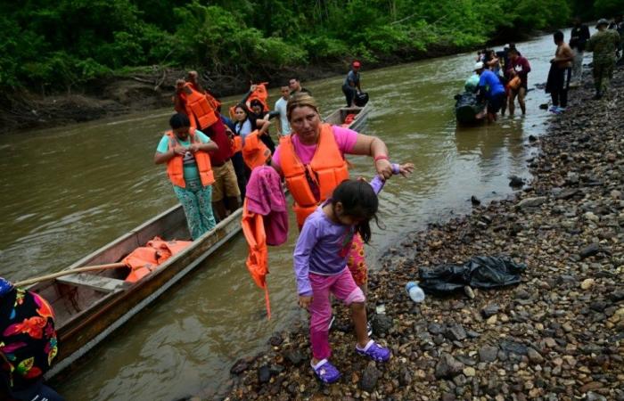 Le nombre de migrants traversant la jungle panaméenne vers les États-Unis a chuté de 41 % en 2024