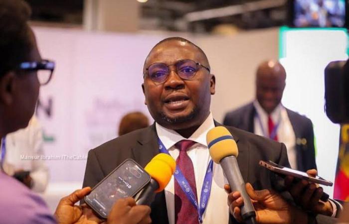 Nigeria : le ministre de l’Énergie pour la protection des infrastructures