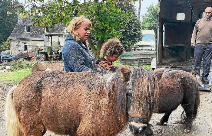 à Plufur, le refuge SOS Animaux pour la Vie est « une véritable aventure familiale »