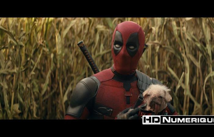 Test Blu-ray 4K Ultra HD : Deadpool & Wolverine (2024)