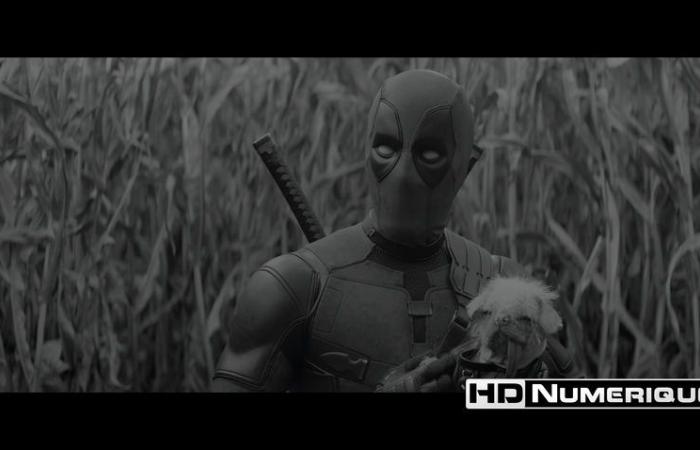 Test Blu-ray 4K Ultra HD : Deadpool & Wolverine (2024)