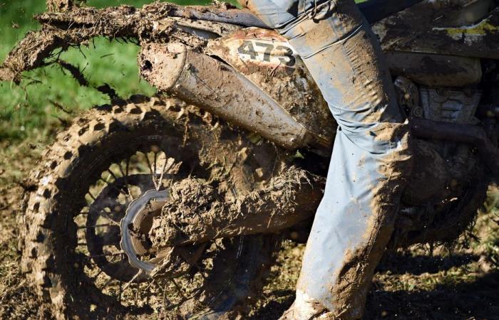 un pilote meurt dans les bois