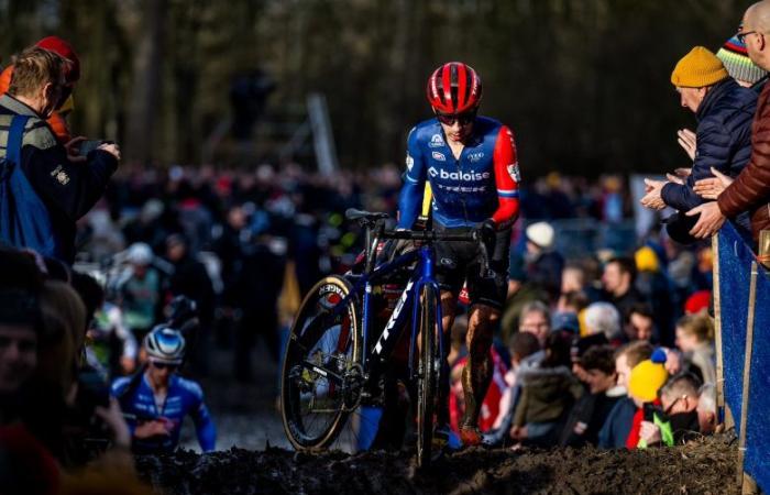 Cyclo-cross. Vélo. X2O Trophy – Blessé au genou, Van der Haar devrait revenir à Gullegem