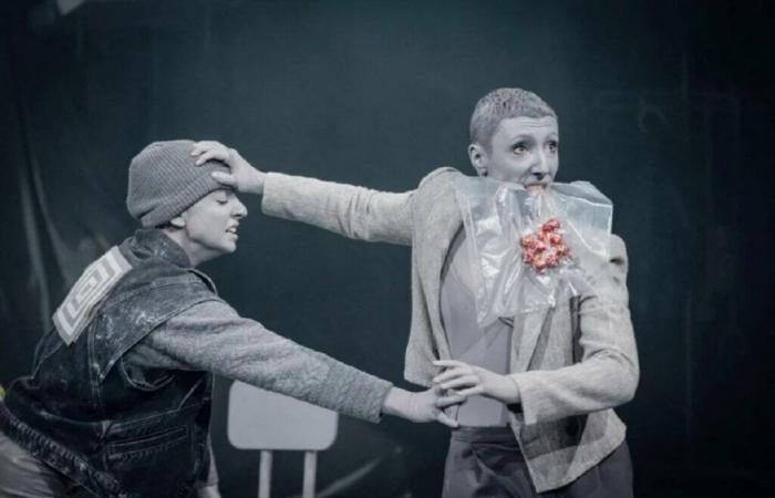 Lille. L’Anneau de Katharsy, un spectacle impressionnant d’inventivité, proposé par la Rose des Vents