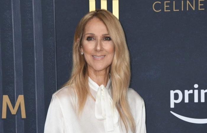 Pour souhaiter une bonne année, Céline Dion adopte un maquillage qui sort de l’ordinaire – Photo