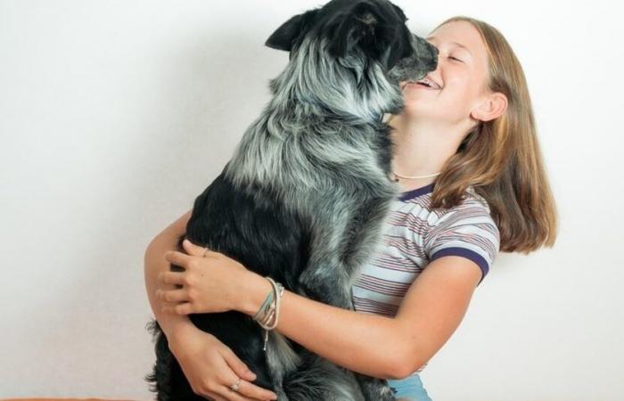 À 13 ans, elle dépensait son argent de poche gagné en tant que gardienne de chiens pour offrir des cadeaux de Noël aux animaux d’un refuge.