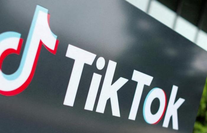 sur TikTok, un influenceur appelle à s’en prendre aux opposants au régime algérien en France