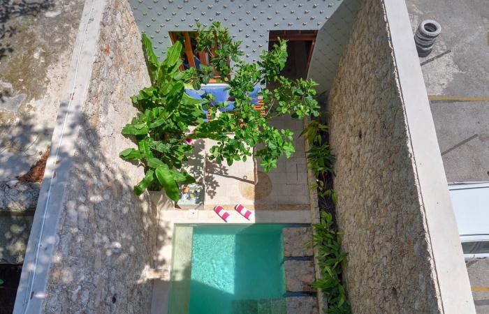 Une maison étroite en deux volumes avec piscine