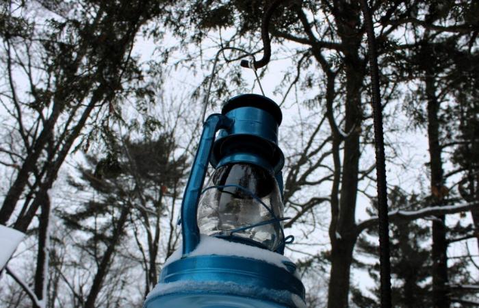 Des randonnées hivernales éclairées par des lanternes débutent ce week-end au parc d’État de Ludington