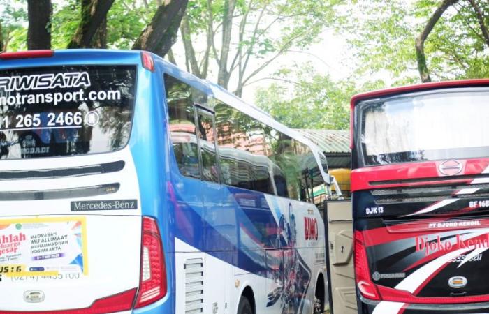 Le plus grand service de bus public de Bali cesse ses activités, laissant les habitants et les touristes frustrés