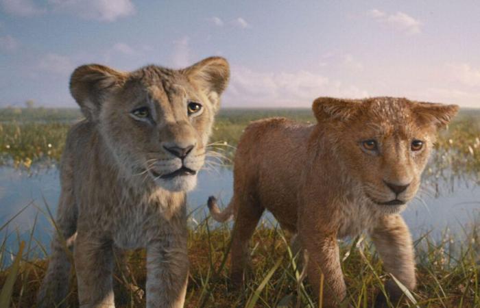 Avec plus de 2,5 millions d’entrées depuis sa sortie, “Mufasa” toujours au box-office français