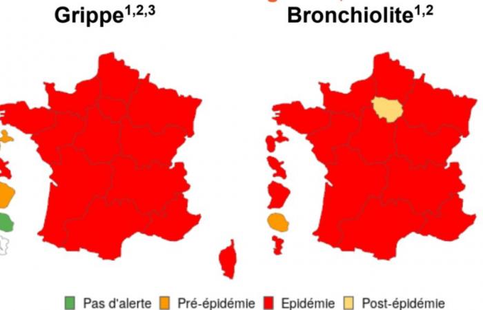 Grippe, Covid-19, bronchiolite… Le point sur les épidémies en France début 2025