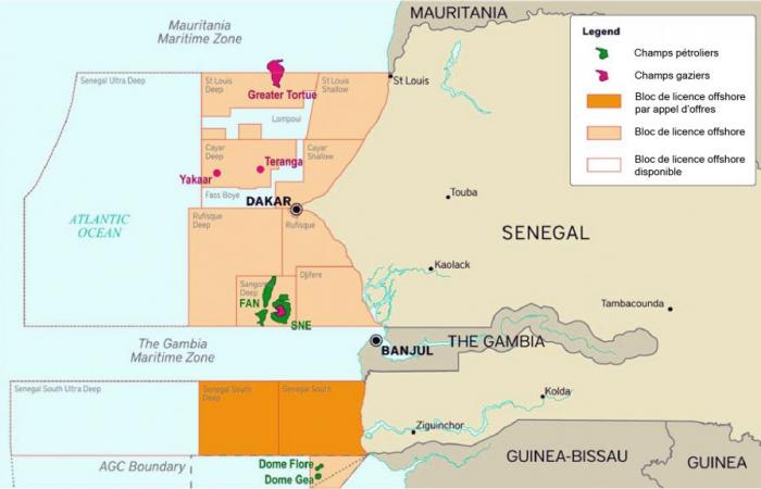 Mauritanie-Sénégal : British Petroleum transporte le premier gaz naturel du champ GTA