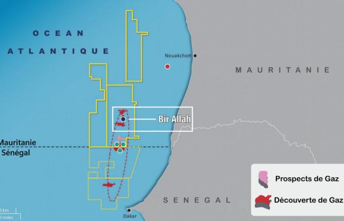 Mauritanie-Sénégal : British Petroleum transporte le premier gaz naturel du champ GTA