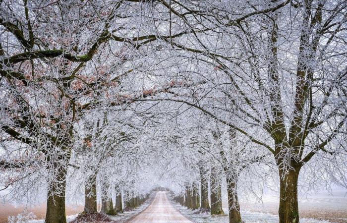 Neige en montagne : 2 janvier 2025, 11h05