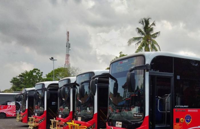 Le plus grand service de bus public de Bali cesse ses activités, laissant les habitants et les touristes frustrés