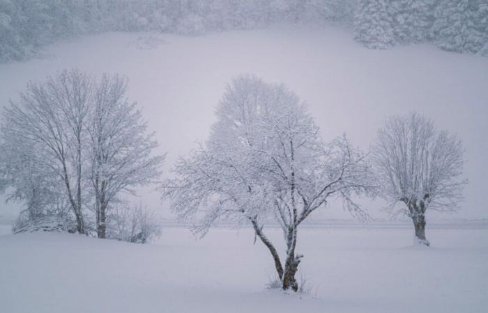 De la neige, puis du temps doux… puis de la neige ?