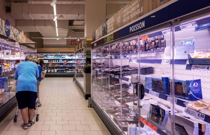 Quels aliments peut-on encore acheter au supermarché avec un chèque-repas ?