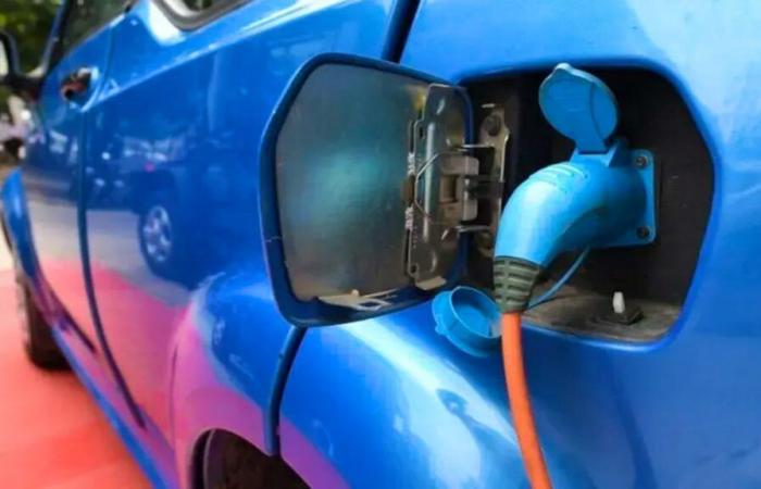 Près de 9 voitures vendues sur 10 étaient électriques en 2024