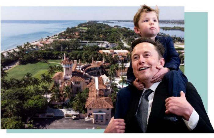 Chez Trump, Elon Musk réside dans un bungalow très spécial