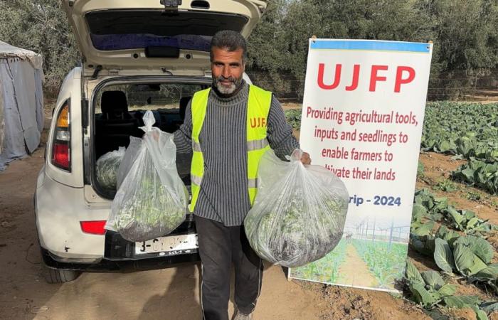 Témoignages de Gazaouis : Survie au quotidien dans l’enfer de Gaza – partie 265 / 2 janvier 2025 – « Autonomisation des agriculteurs » dans la région de Deir Al-Balah – Mouvement de Solidarité Internationale