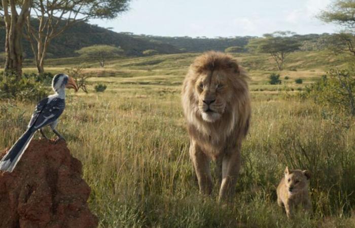 Le Roi Lion d’action réelle de Disney, de Jon Favreau, a-t-il été tourné dans des lieux réels ?