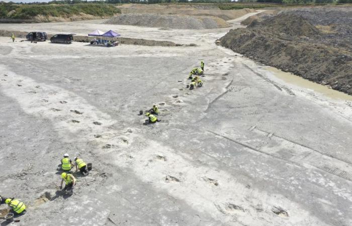 À la découverte du plus grand site d’empreintes de dinosaures du Royaume-Uni