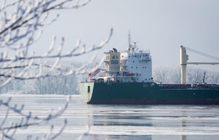 Navire échoué près de Verchères | Le déchargement devrait commencer jeudi