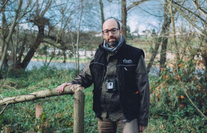 « Le castor a trouvé sa place dans un monde profondément modifié par l’homme »