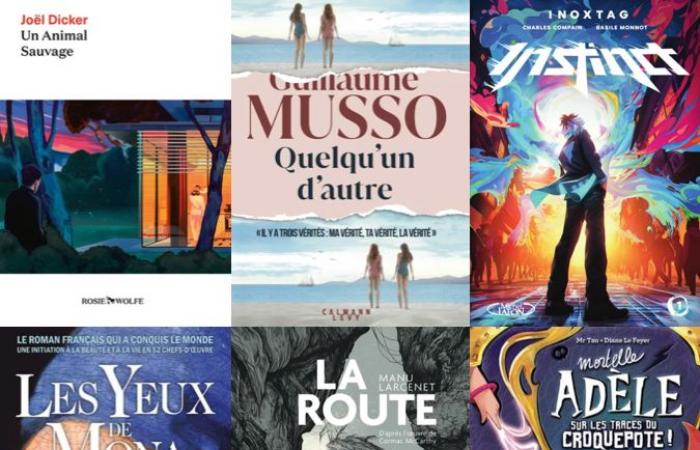 Quel auteur a vendu le plus de livres en 2024 ?