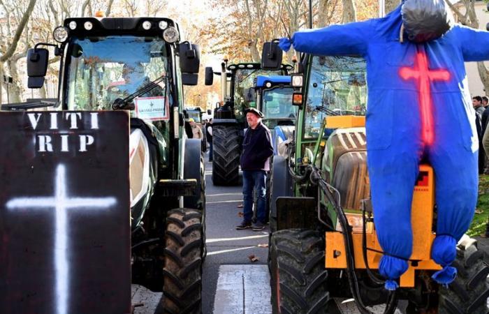 Campagne pour les élections municipales, Tour de France, élections à la Chambre d’Agriculture… les événements qui feront l’année 2025 dans l’Aude