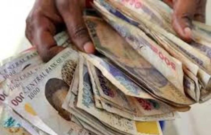 Nigeria : le naira défie les réformes de marché et chute de 41% en 2024