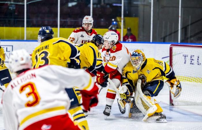 Gridin, Fontaine et Hamel brillent à Baie-Comeau