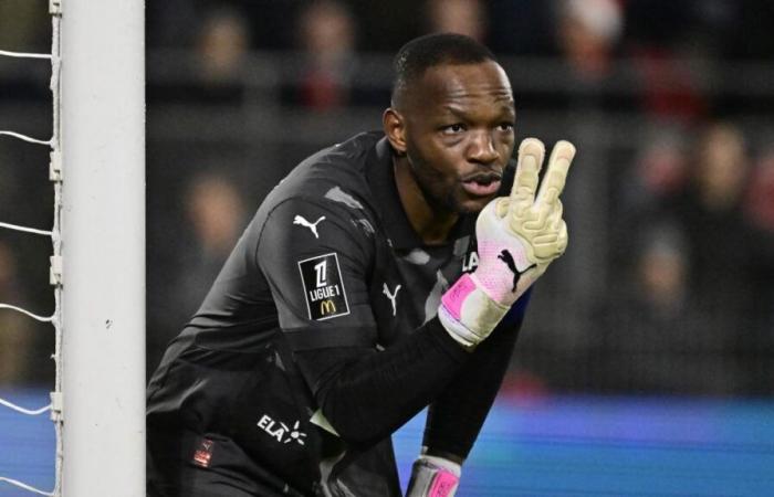 Le Stade Rennais vient en aide à Steve Mandanda